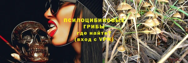 амф Аркадак