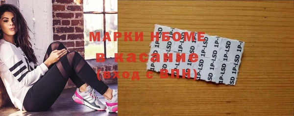 дмт Алзамай