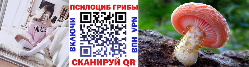 купить  цена  Чебаркуль  Псилоцибиновые грибы мухоморы 